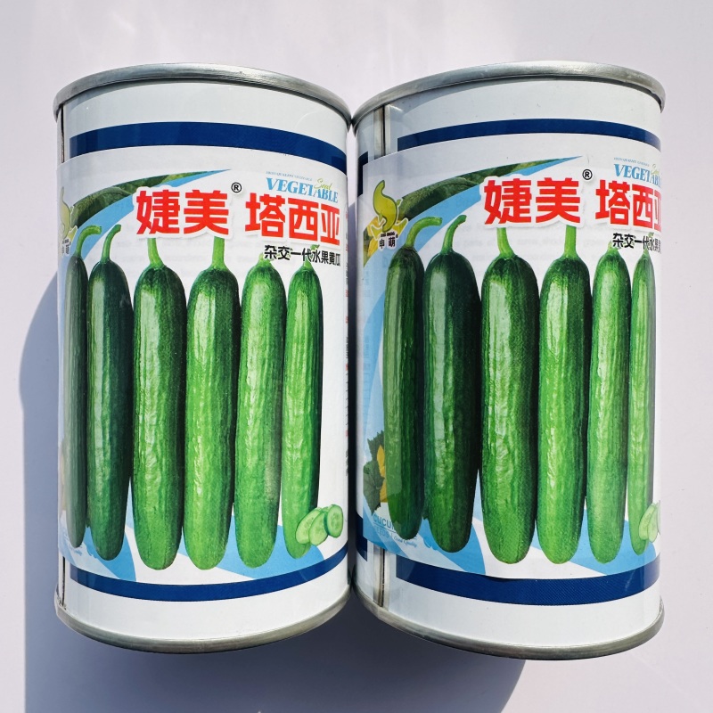 婕美塔西亚小黄瓜种子光滑无刺节节有瓜荷兰水果黄瓜种子春秋