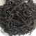妃子笑红茶150g（5g×30泡）/盒，供超市电商等