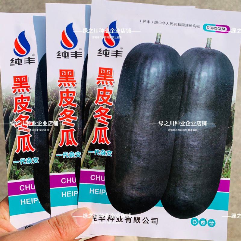 杂交一代黑皮冬瓜种子皮色墨绿大果丰产冬瓜种子庭院大田蔬菜