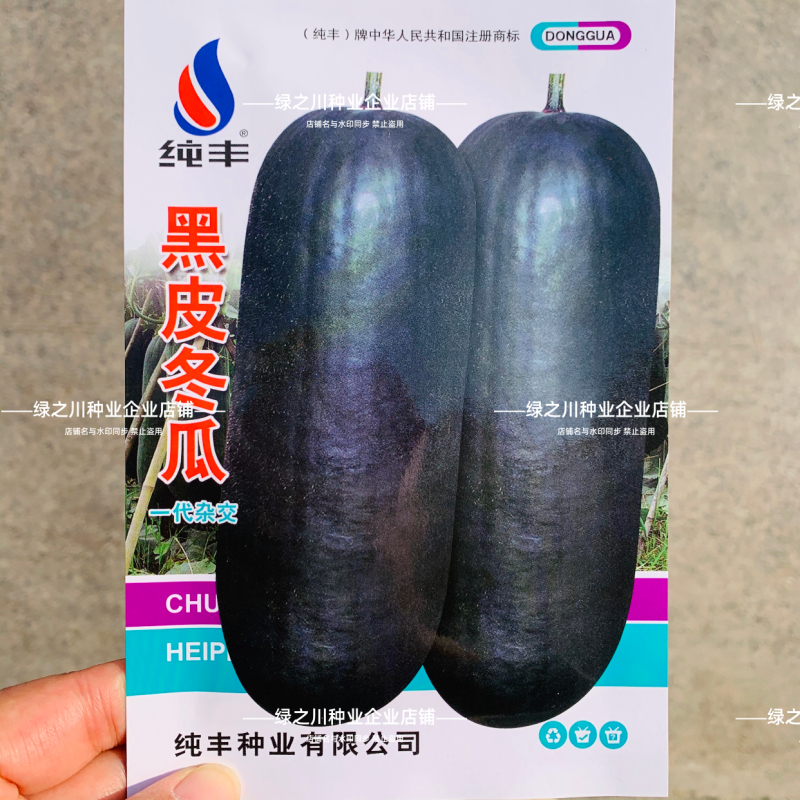 杂交一代黑皮冬瓜种子皮色墨绿大果丰产冬瓜种子庭院大田蔬菜