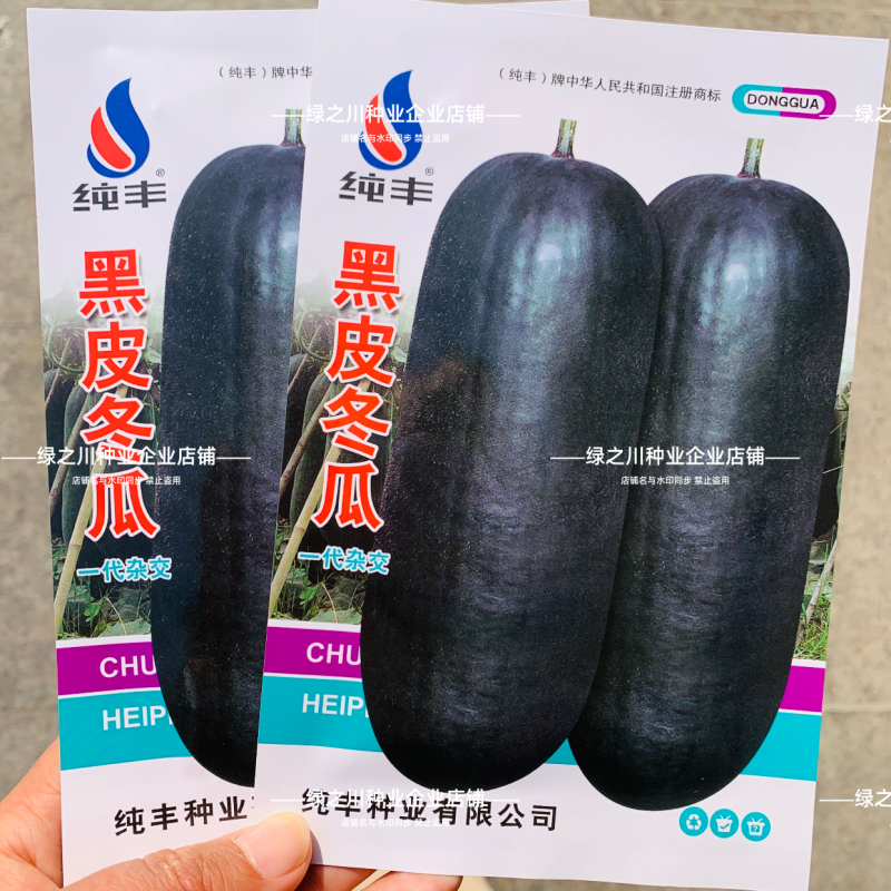 杂交一代黑皮冬瓜种子皮色墨绿大果丰产冬瓜种子庭院大田蔬菜