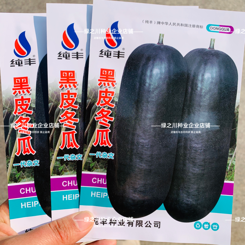 杂交一代黑皮冬瓜种子皮色墨绿大果丰产冬瓜种子庭院大田蔬菜