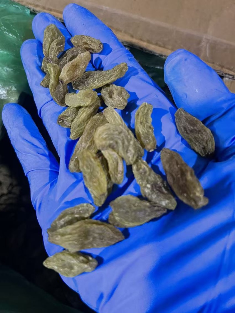 新疆精品葡萄干，规格齐全，品质佳，货量充足，欢迎咨询