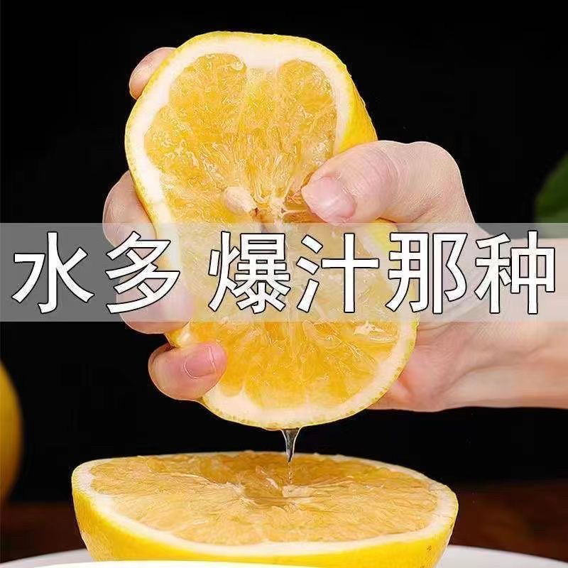 葡萄柚苗产地直发，支持看货，需要的联系，欢迎各位朋友咨询