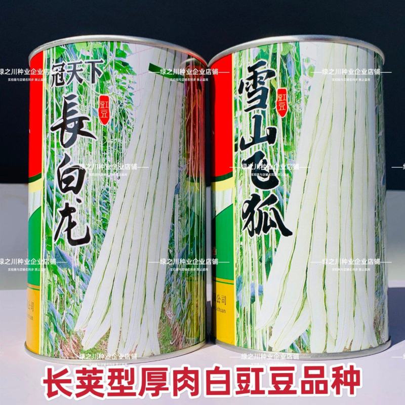 雪山飞狐白玉豇豆种子长白龙白条长豆角种籽早熟无鼠尾白豇豆