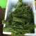 龙须菜/瓜尖/不用打药的零农残的蔬菜，支持空运/冷链物流