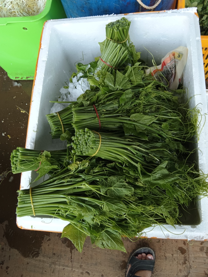 龙须菜/瓜尖/不用打药的零农残的蔬菜，支持空运/冷链物流