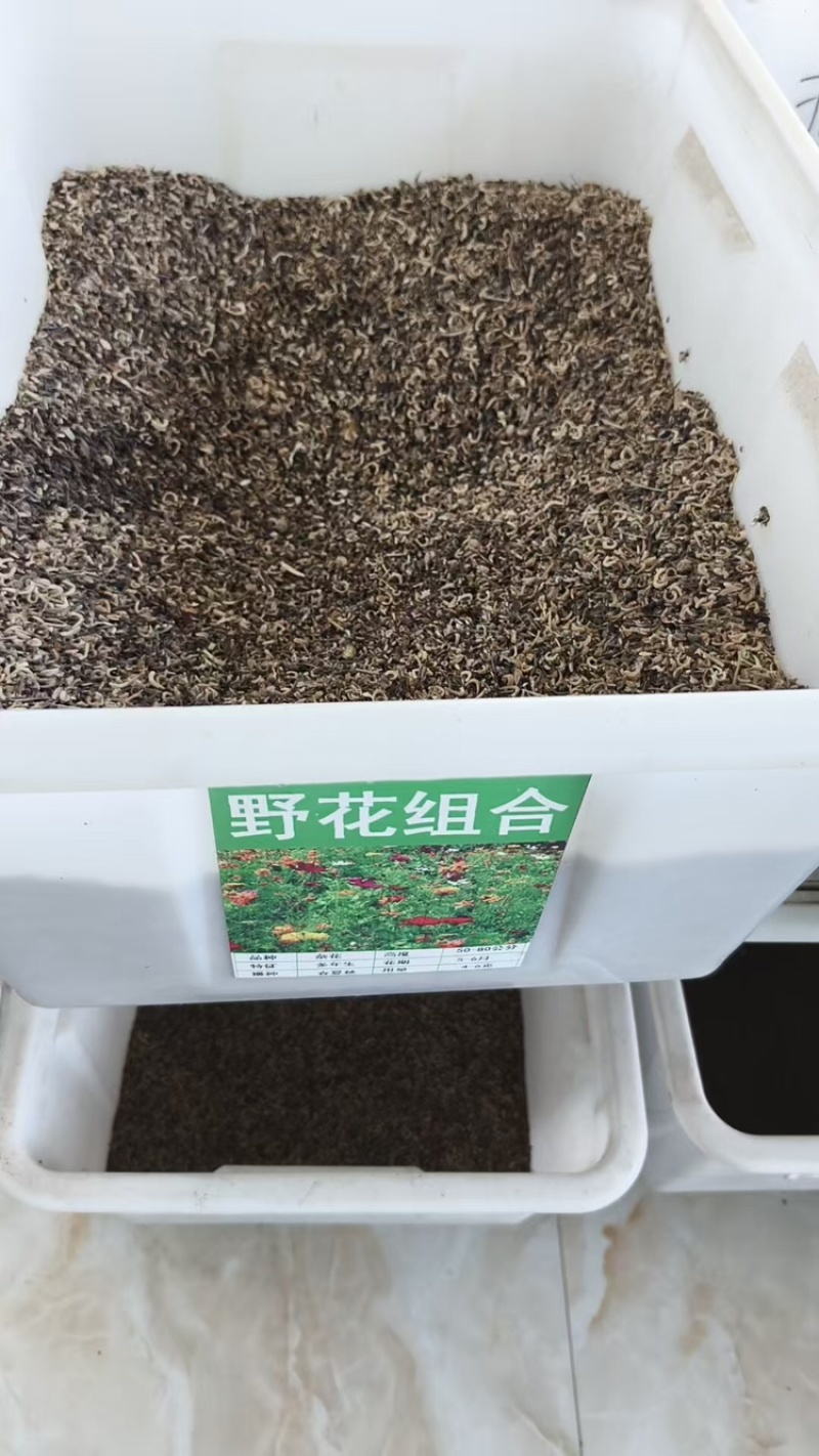 野花组合种子多年生四季开花不断存活率高