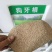 【草坪种子】狗牙根种子四季常青护坡草籽耐旱耐践踏