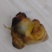 鸡宝