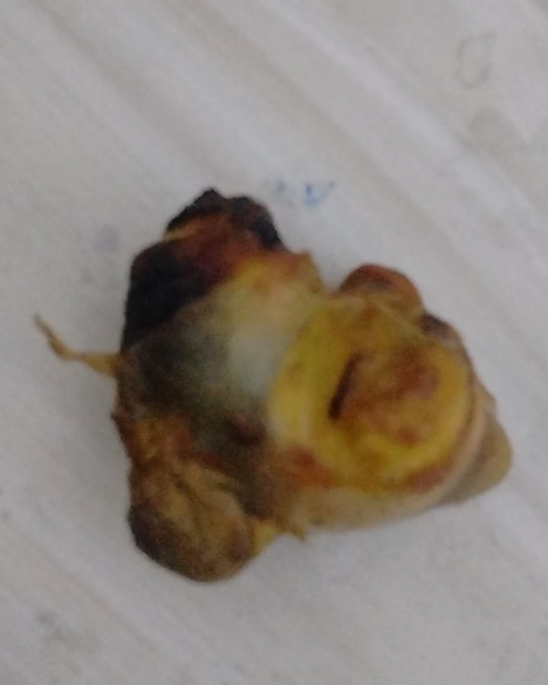 鸡宝