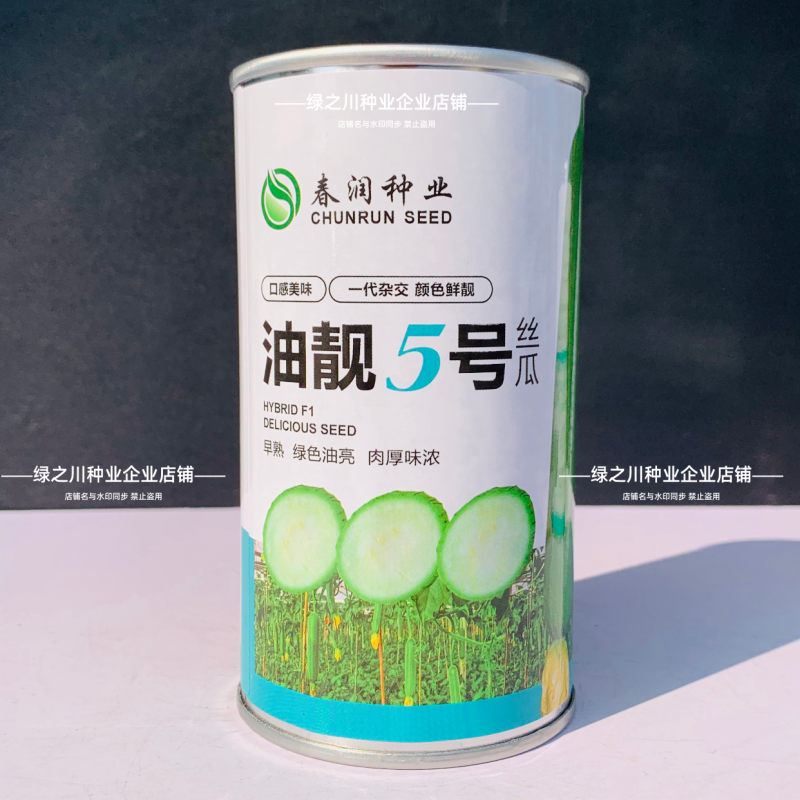 春润油靓5号丝瓜种子早熟短棒油亮香丝瓜种籽高产水瓜种清香