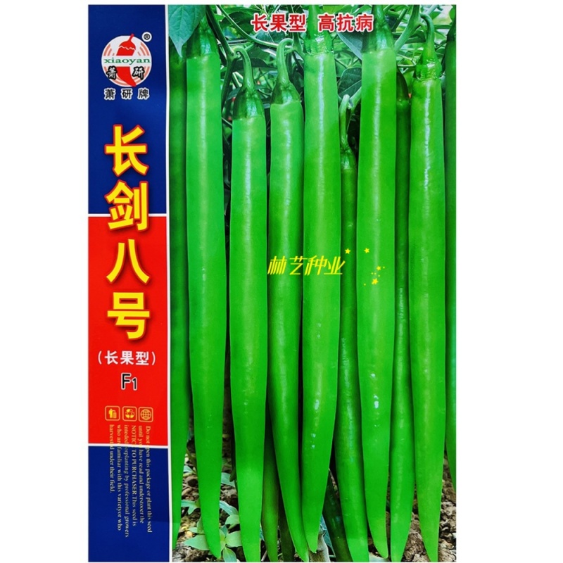 长剑八号线椒种子口感好香辣顺直高产抗病商品性佳
