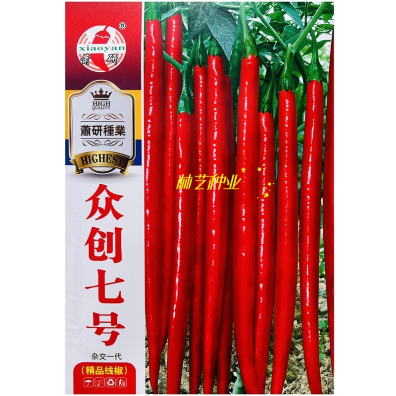 众创七号青红两用长线椒种子熟果鲜红亮香辣果顺直红线椒