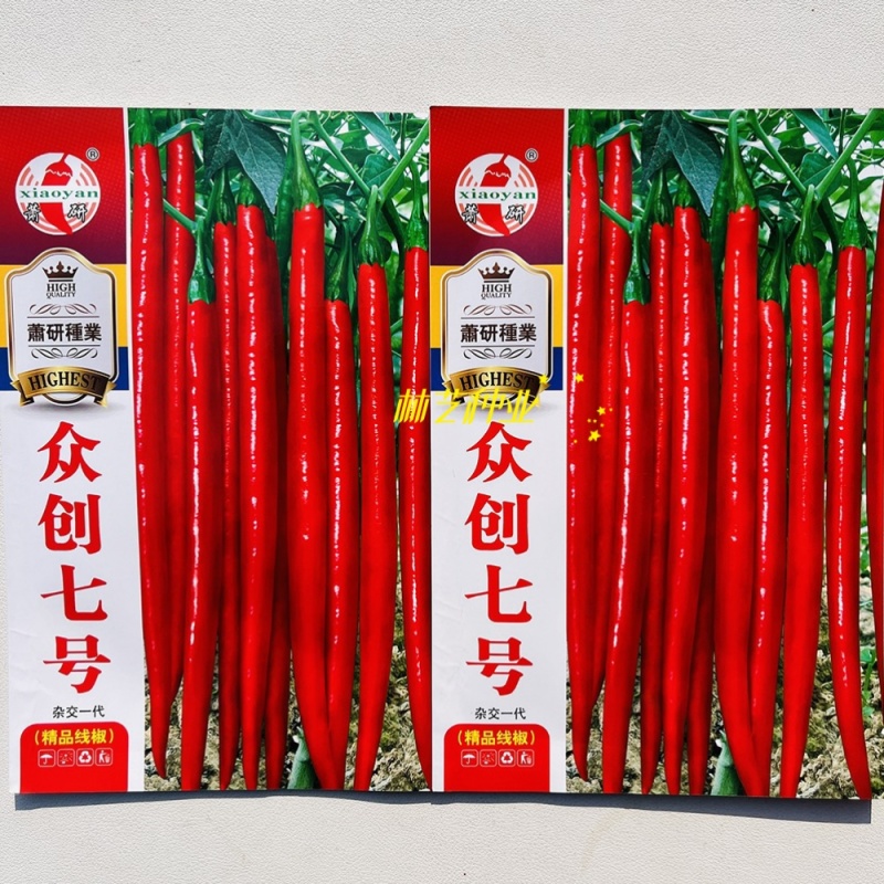 众创七号青红两用长线椒种子熟果鲜红亮香辣果顺直红线椒