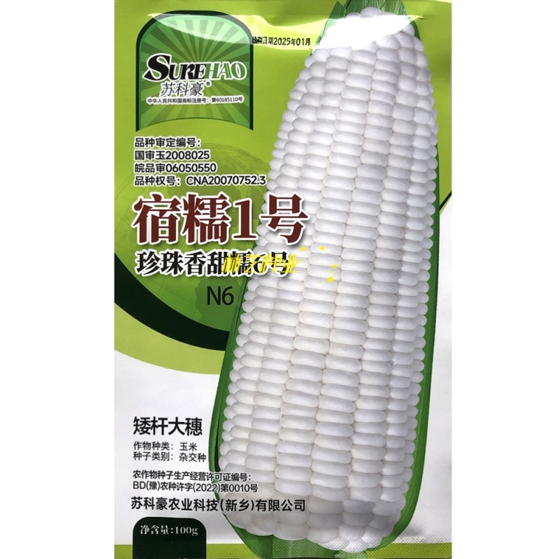 宿糯1号糯玉米种子国审大棒鲜食玉米种籽可打粉大田苞谷