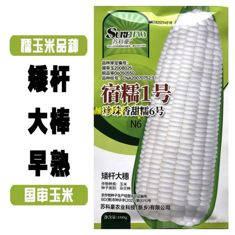宿糯1号糯玉米种子国审大棒鲜食玉米种籽可打粉大田苞谷