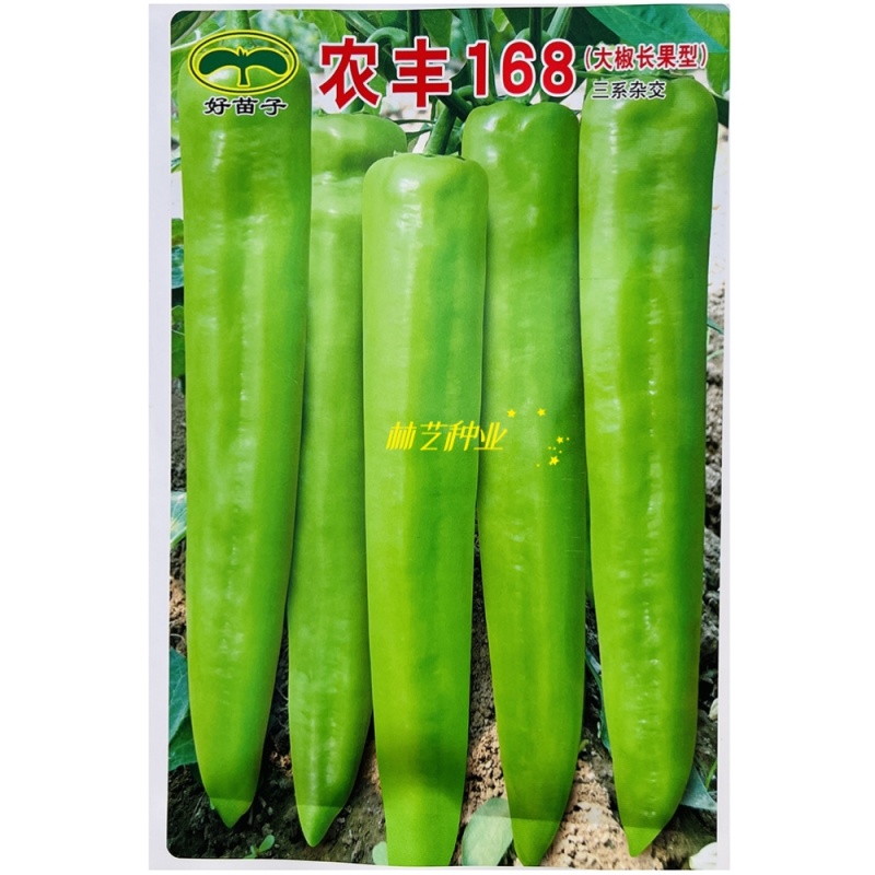 农丰168辣椒种子中早熟大椒长果型黄绿皮三系杂交尖椒种籽