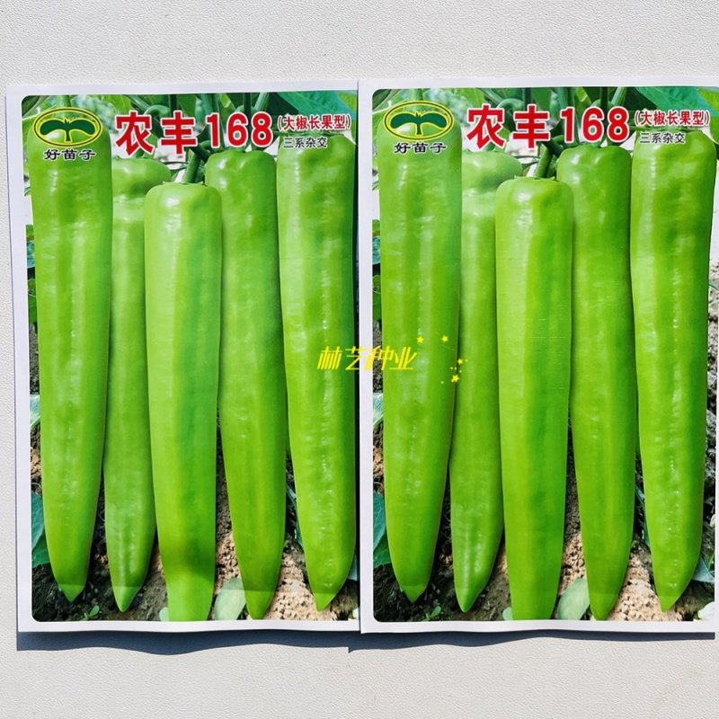 农丰168辣椒种子中早熟大椒长果型黄绿皮三系杂交尖椒种籽
