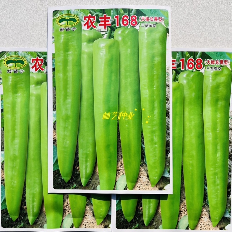 农丰168辣椒种子中早熟大椒长果型黄绿皮三系杂交尖椒种籽