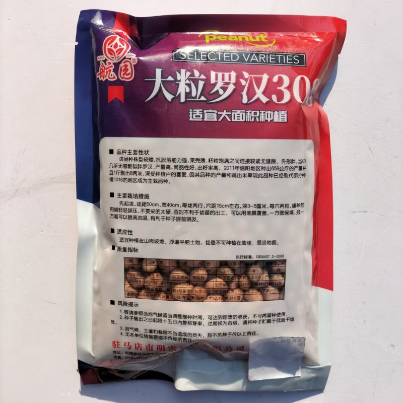 大粒罗汉308花生种子高油纯手工去壳净籽白沙罗汉果花生米