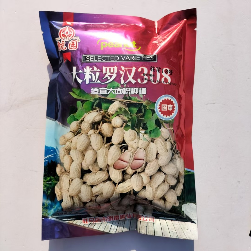 大粒罗汉308花生种子高油纯手工去壳净籽白沙罗汉果花生米