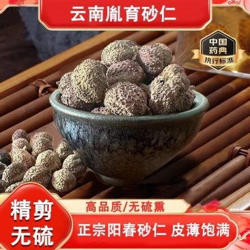 云南文山阳春砂仁统货