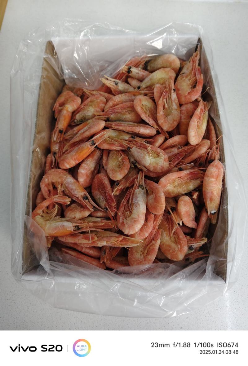 北极虾