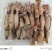 籽乌