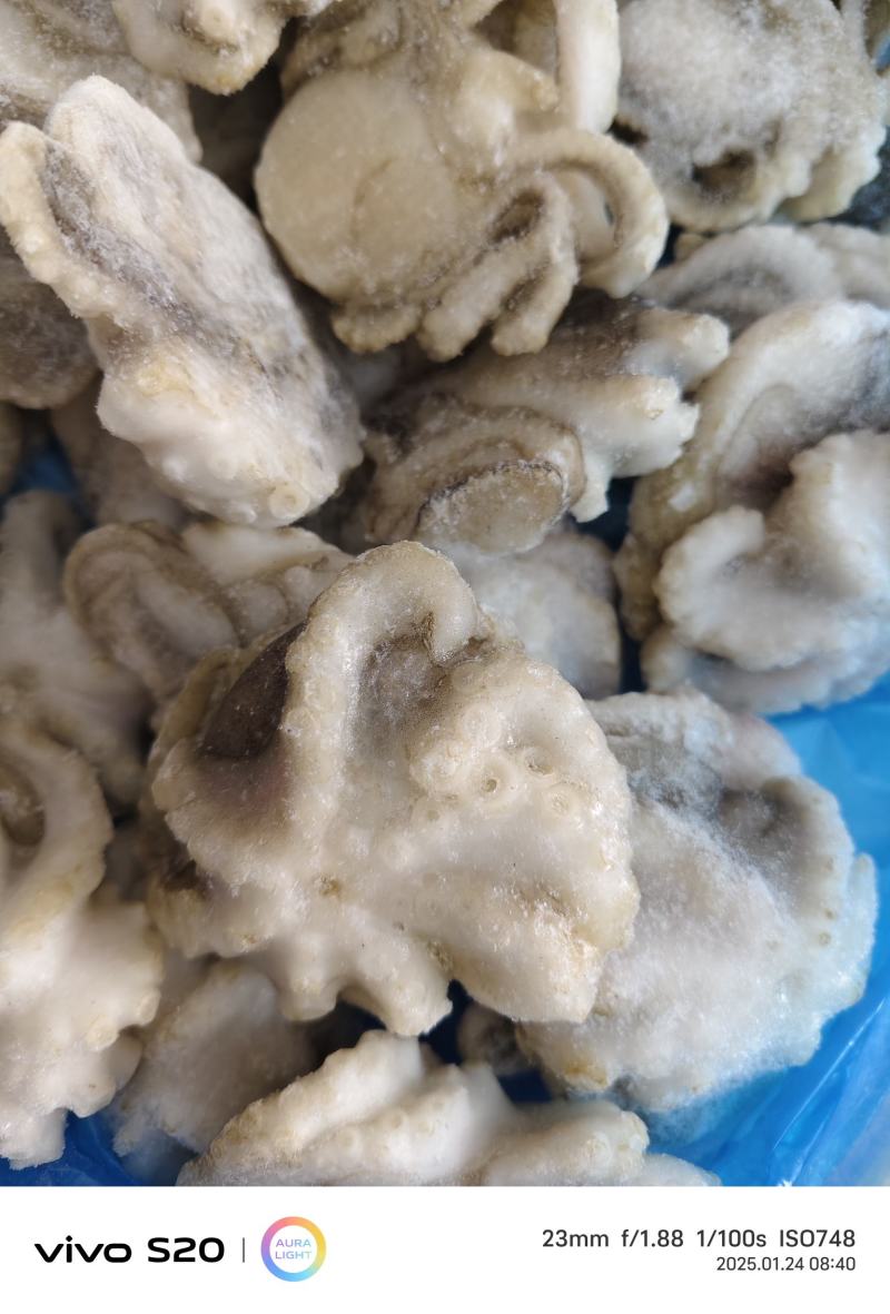 小八爪