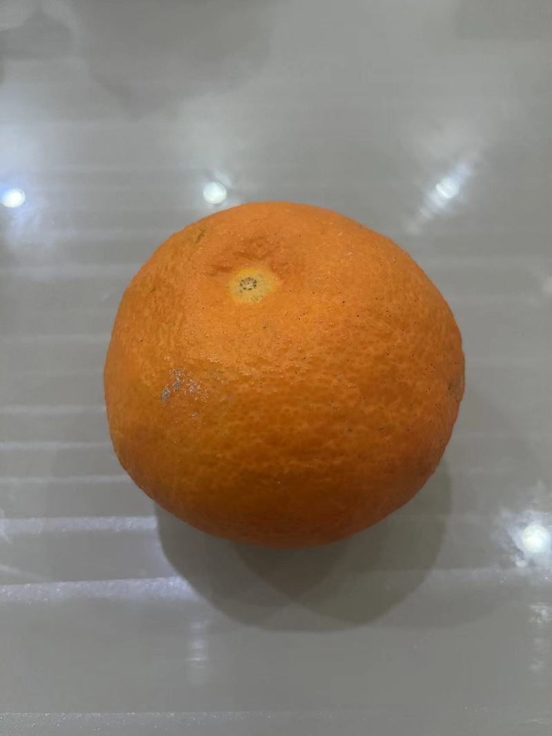 【精品】自家种植的爱媛橙爆汁纯甜价格实惠对接各大市场