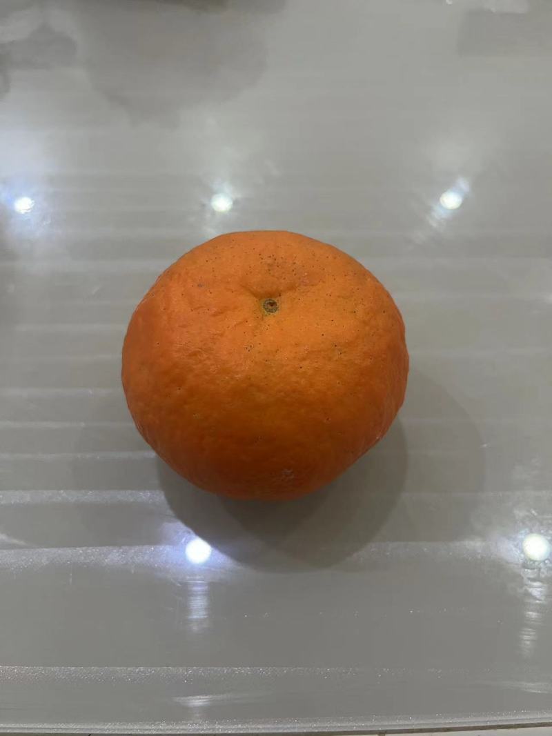 【精品】自家种植的爱媛橙爆汁纯甜价格实惠对接各大市场