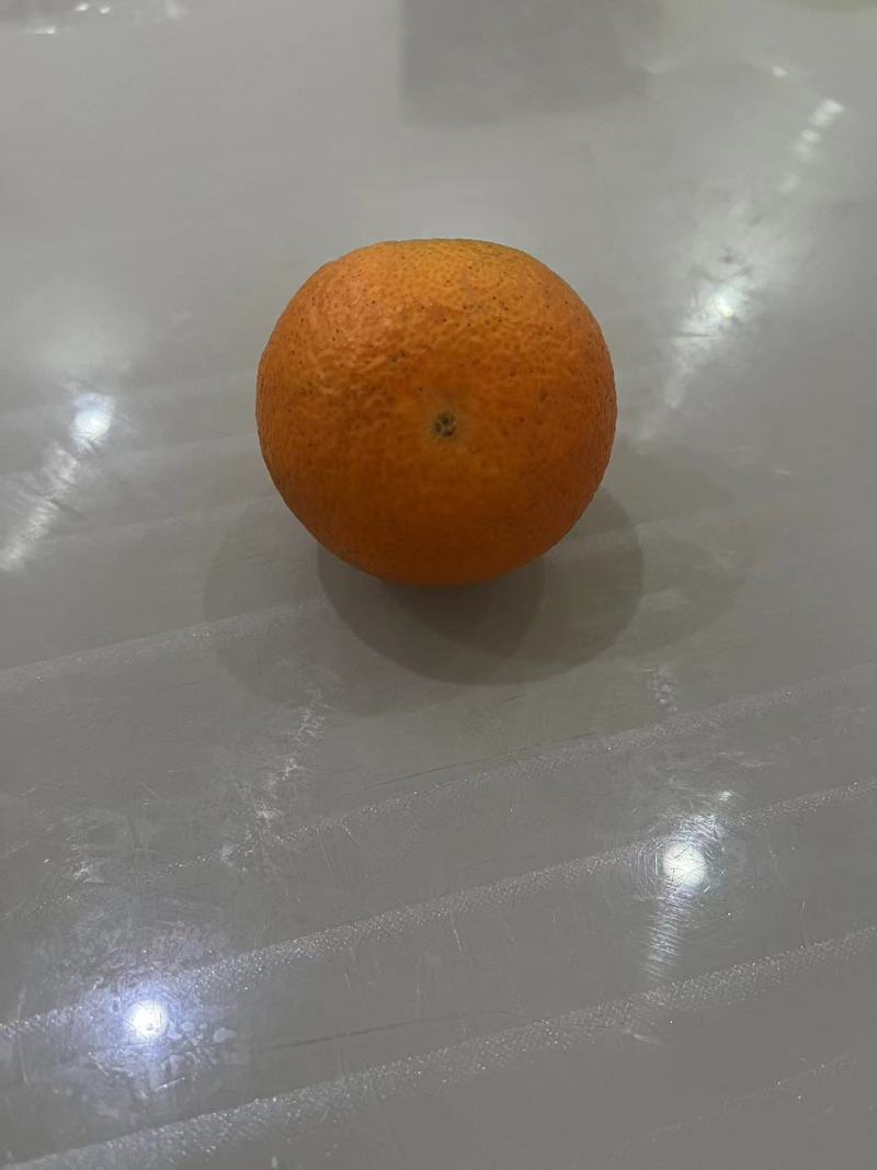 【精品】自家种植的爱媛橙爆汁纯甜价格实惠对接各大市场