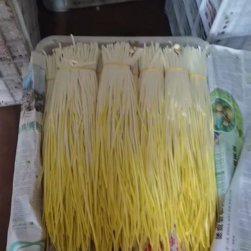 山东济宁蒜黄基地直供