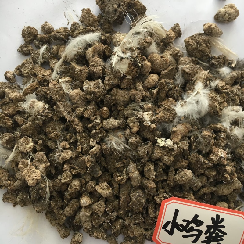 纯小鸡粪风干鸡粪晒干鸡粪块小鸡粪无土无杂质