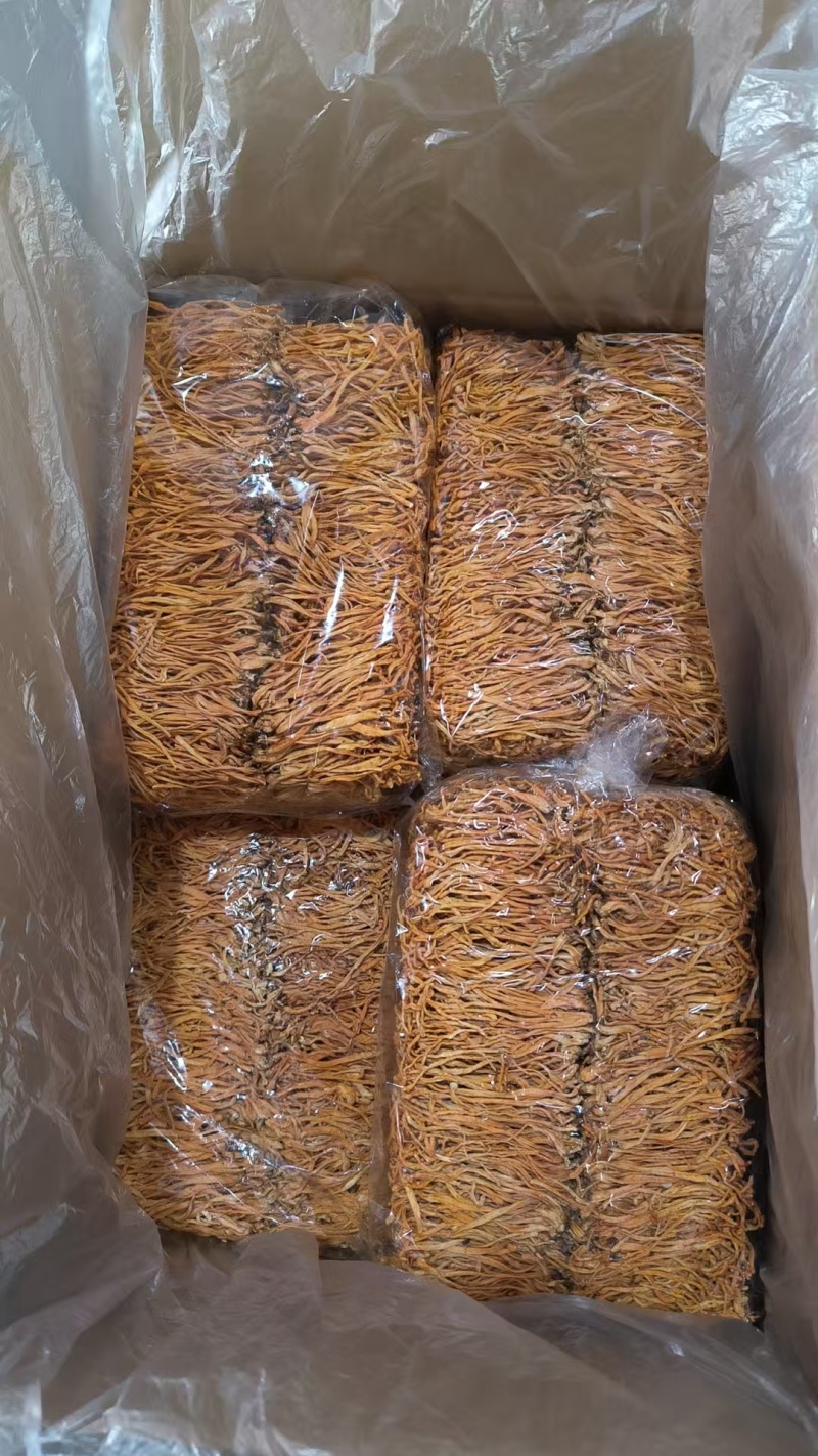 福建省古田县厂家直销批发虫草花，电话联系可优惠