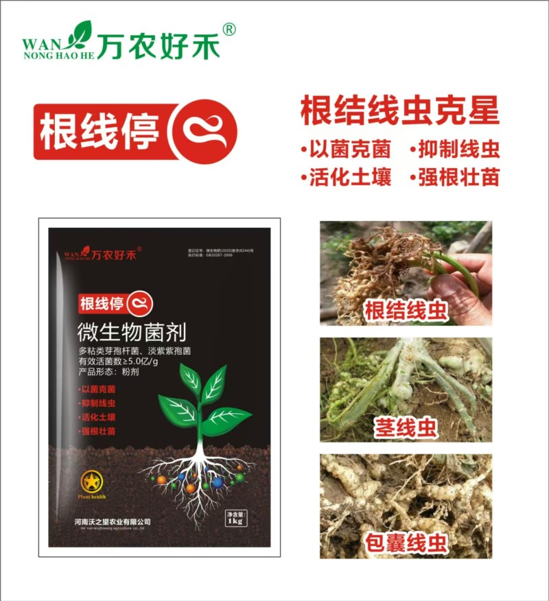 微生物菌剂抑制线虫活化土壤强根壮苗厂家直销