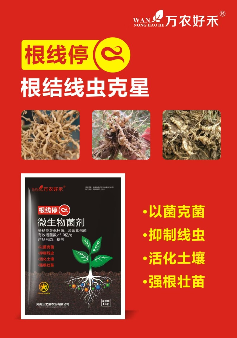 微生物菌剂抑制线虫活化土壤强根壮苗厂家直销