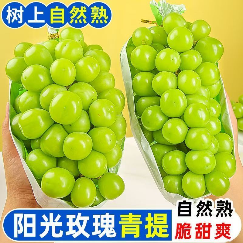 山西运城盐湖区阳光玫瑰青提