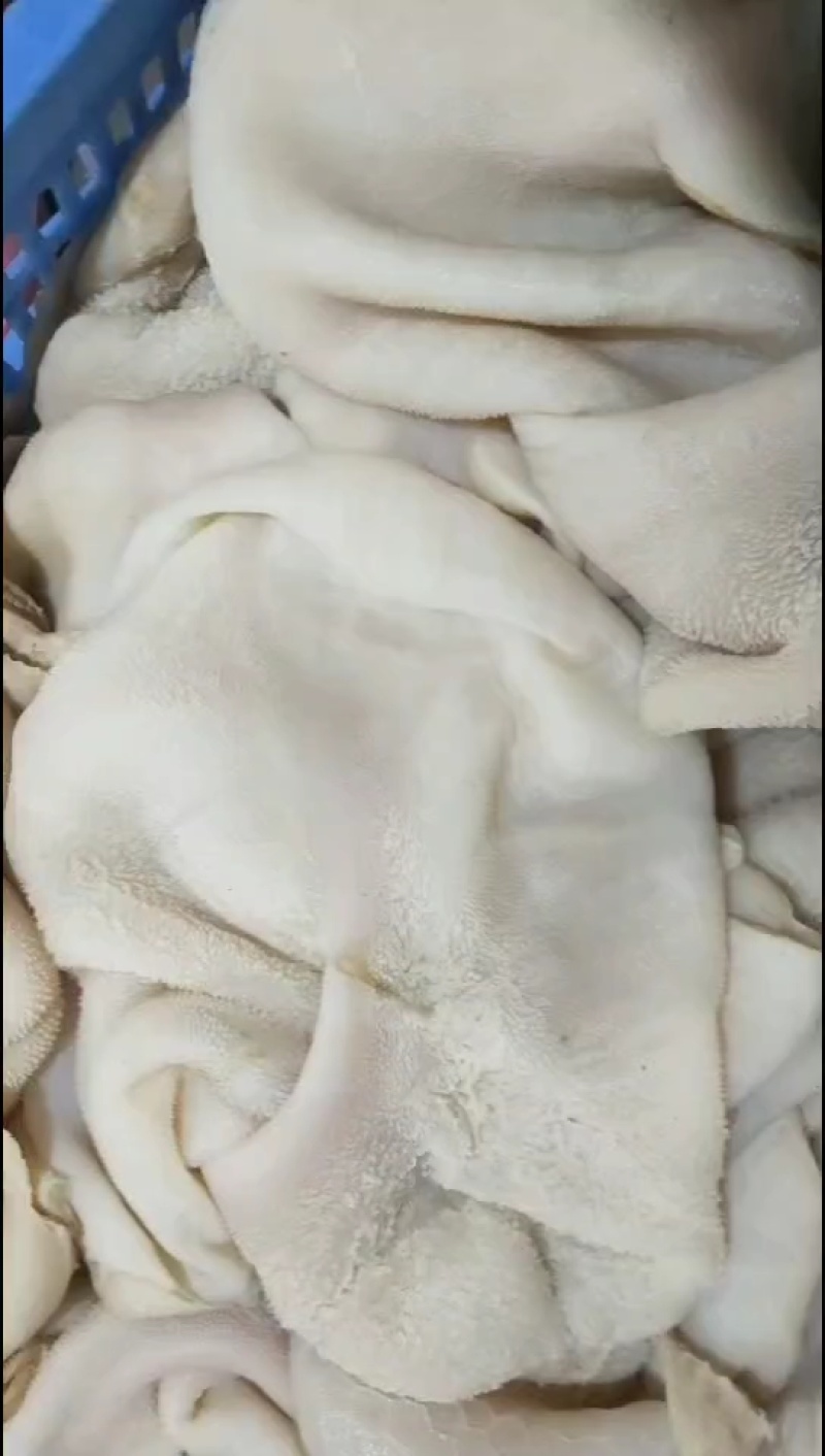 厂家直销一手货源保质保量，全熟黄毛肚适合各种餐饮店