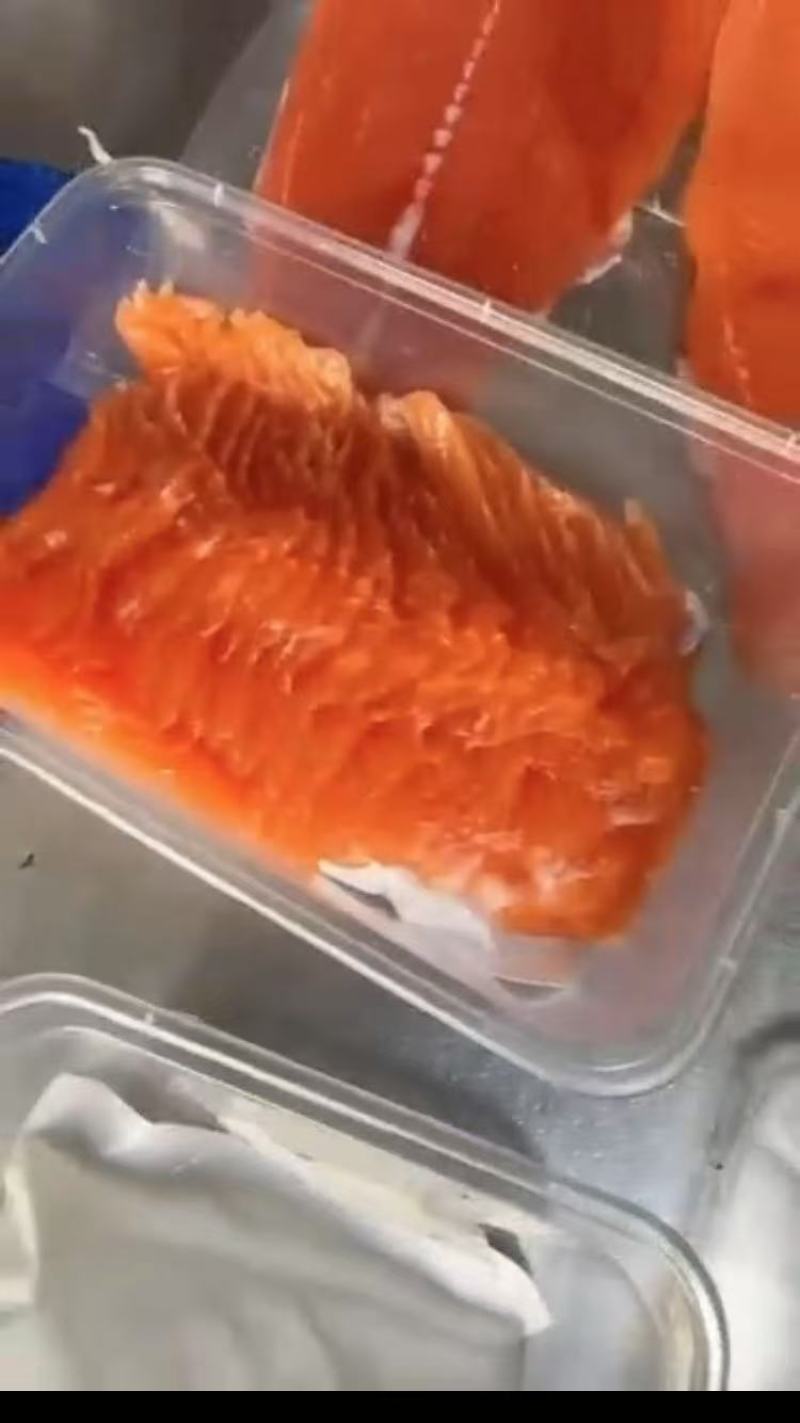 红鳟鱼
