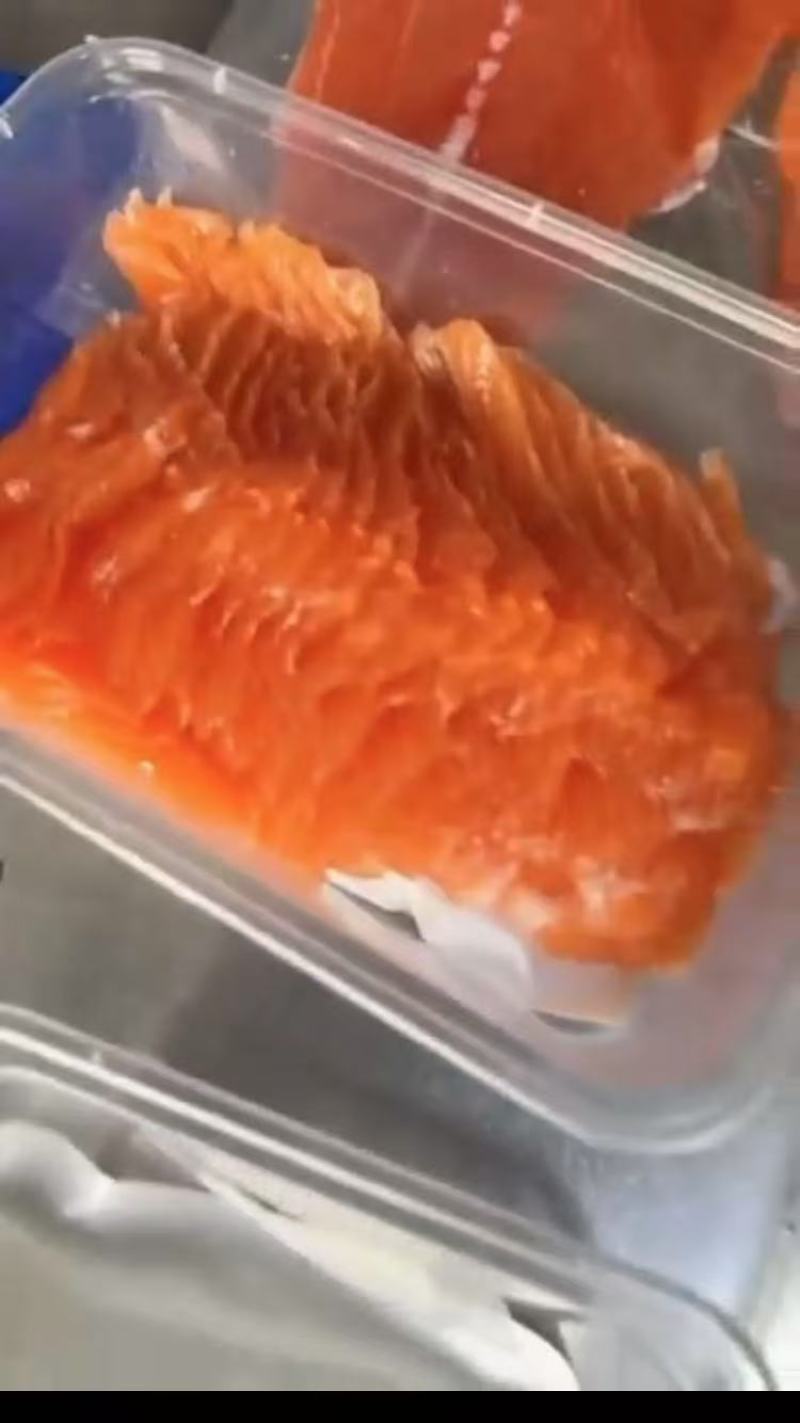 红鳟鱼