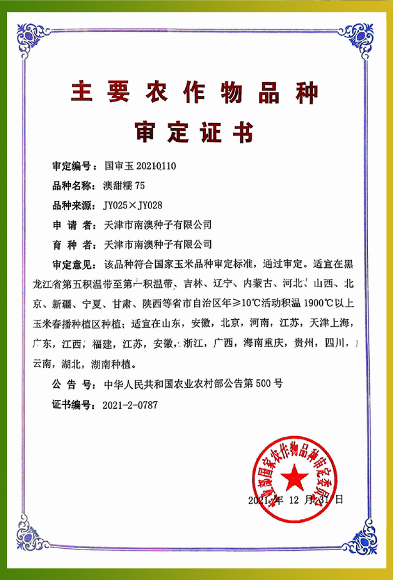 澳甜糯75-白甜糯玉米种子甜糯比1:3粘糯拉丝