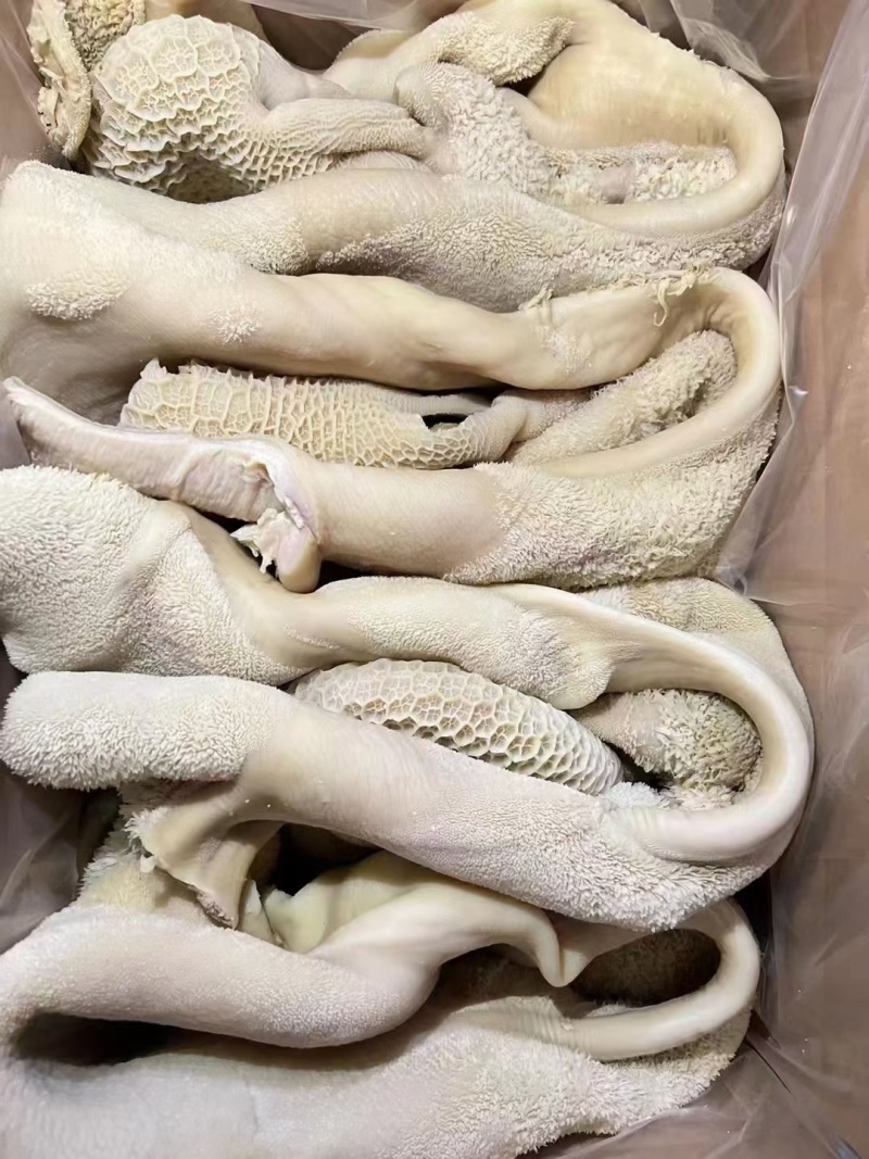 厂家直销一手货源保质保量，全熟黄毛肚适合各种餐饮店
