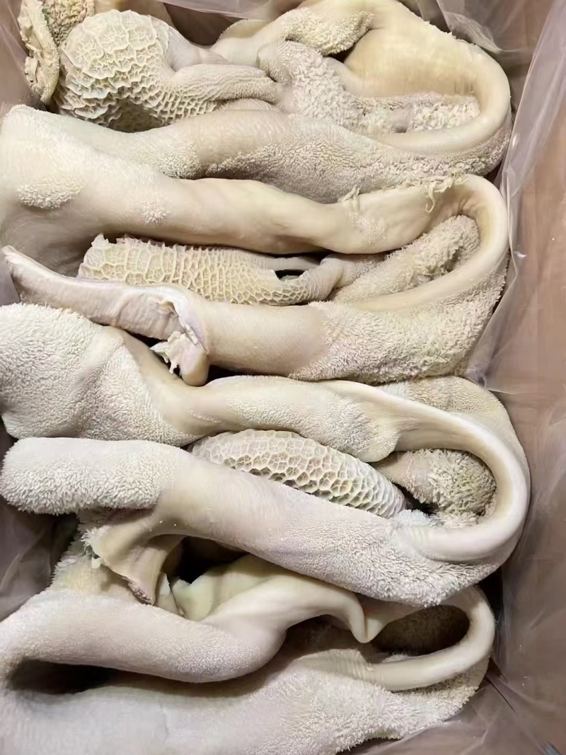 厂家直销一手货源保质保量，全熟黄毛肚适合各种餐饮店