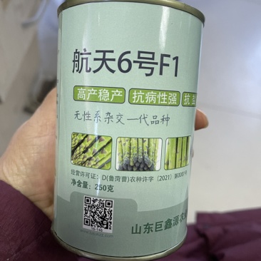 新品种航天6号F1高产芦笋苗批发零售，现挖现发