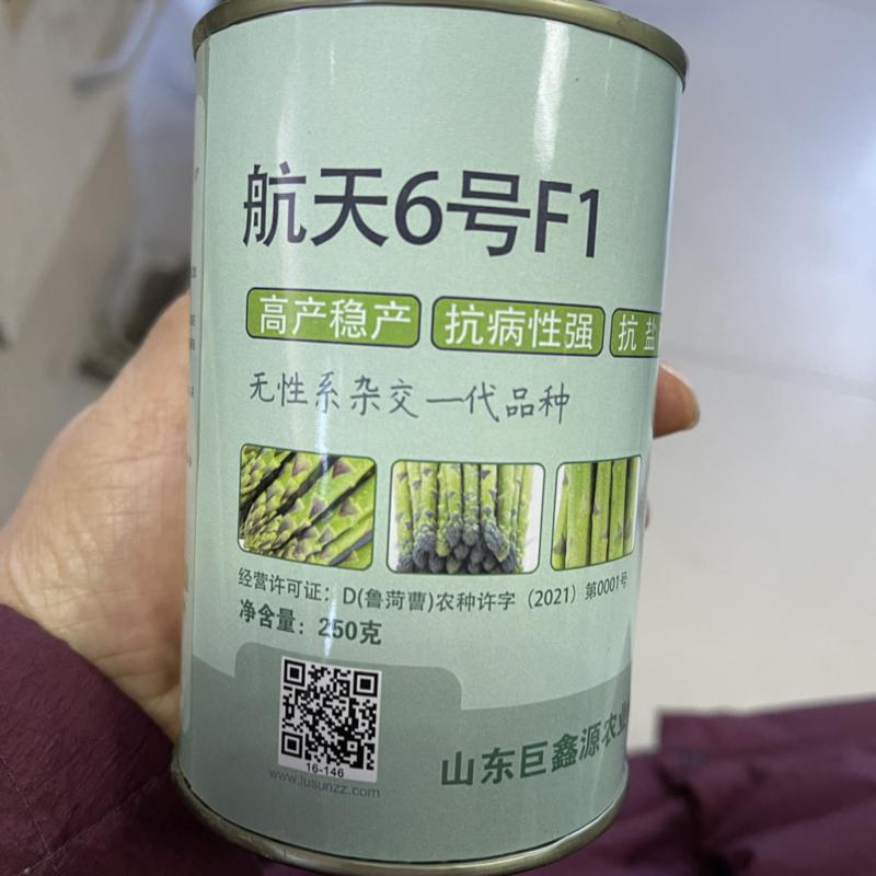 新品种航天6号F1高产芦笋苗批发零售，现挖现发