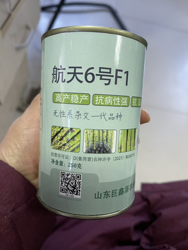 新品种航天6号F1高产芦笋苗批发零售，现挖现发