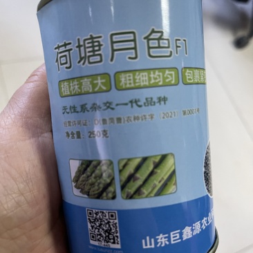 荷塘月色F1高产芦笋苗，耐碱性强，适合四季种植