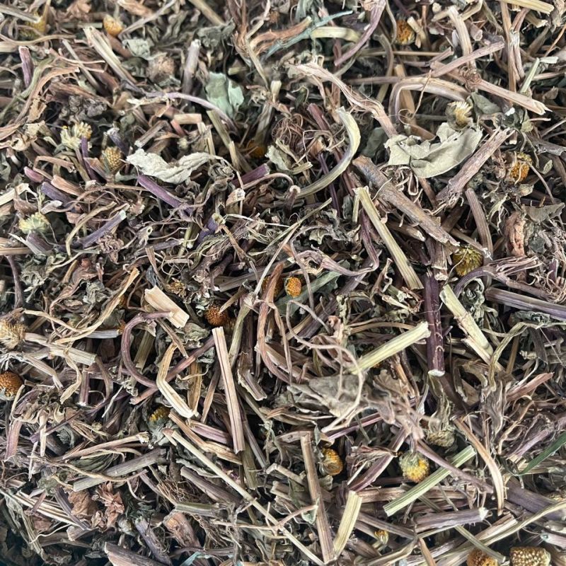 天文草1公斤中药材金纽扣山天文草雨伞草黄花苦草干货
